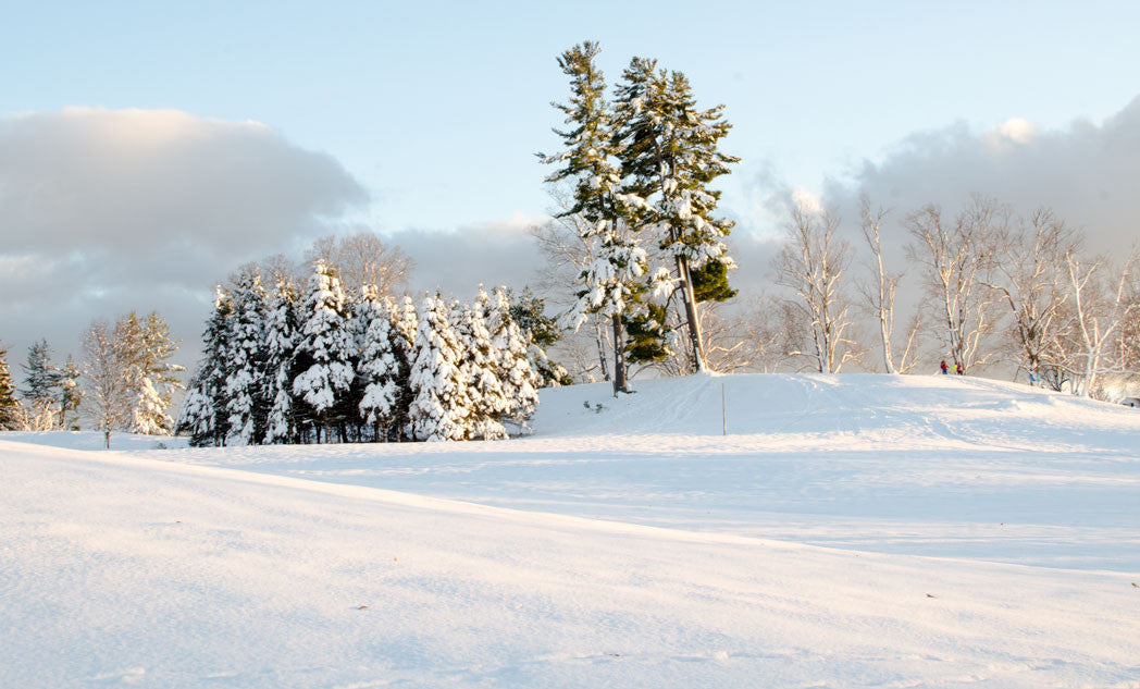 First Snow of the Season